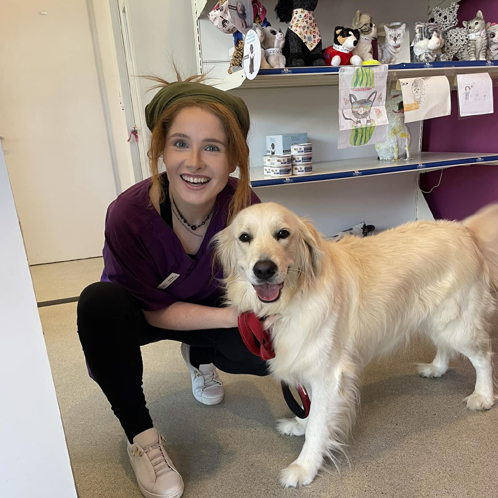 Sydney Road Vet - Veterinary Surgery